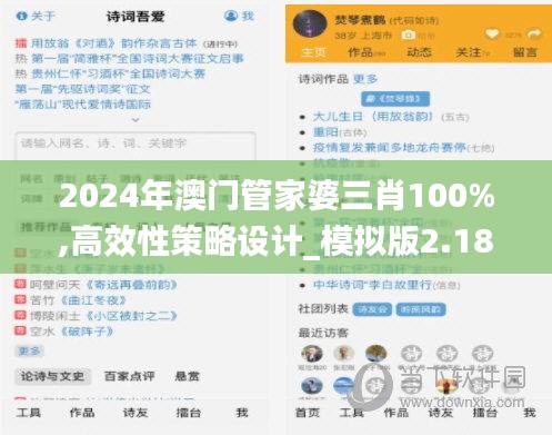 2024年澳门管家婆三肖100%,高效性策略设计_模拟版2.180