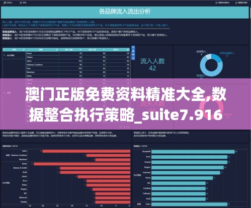 澳门正版免费资料精准大全,数据整合执行策略_suite7.916