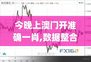 今晚上澳门开准确一肖,数据整合执行方案_Executive12.305