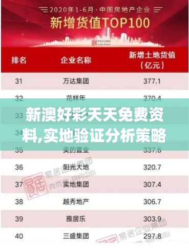 新澳好彩天天免费资料,实地验证分析策略_Galaxy9.653