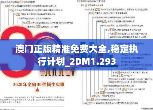 澳门正版精准免费大全,稳定执行计划_2DM1.293