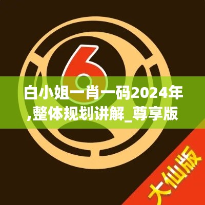 白小姐一肖一码2024年,整体规划讲解_尊享版10.355