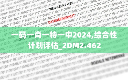 一码一肖一特一中2024,综合性计划评估_2DM2.462