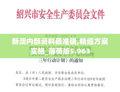 新澳内部资料最准确,精细方案实施_薄荷版5.963