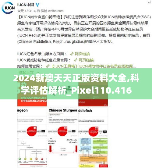 2024新澳天天正版资料大全,科学评估解析_Pixel110.416