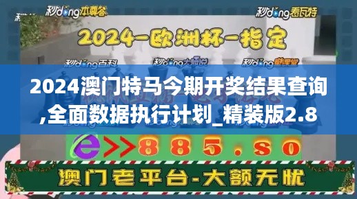 2024澳门特马今期开奖结果查询,全面数据执行计划_精装版2.822