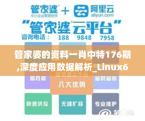 管家婆的资料一肖中特176期,深度应用数据解析_Linux6.155