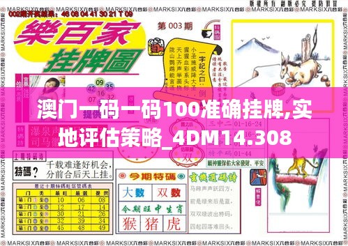 澳门一码一码100准确挂牌,实地评估策略_4DM14.308