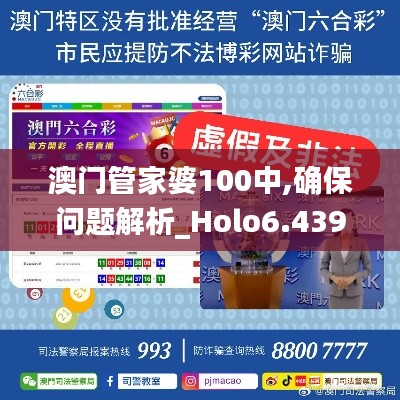 澳门管家婆100中,确保问题解析_Holo6.439