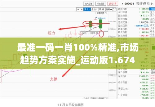 最准一码一肖100%精准,市场趋势方案实施_运动版1.674