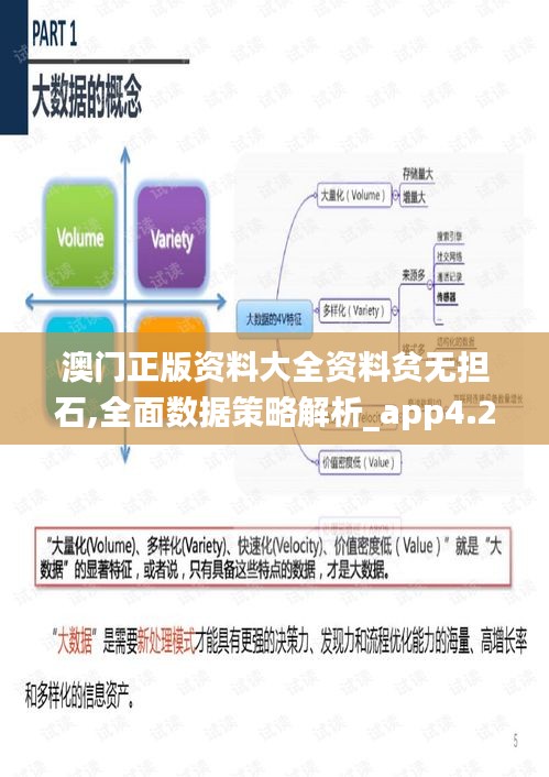 澳门正版资料大全资料贫无担石,全面数据策略解析_app4.273