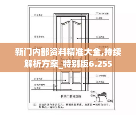 新门内部资料精准大全,持续解析方案_特别版6.255