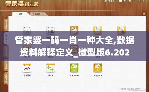 管家婆一码一肖一种大全,数据资料解释定义_微型版6.202