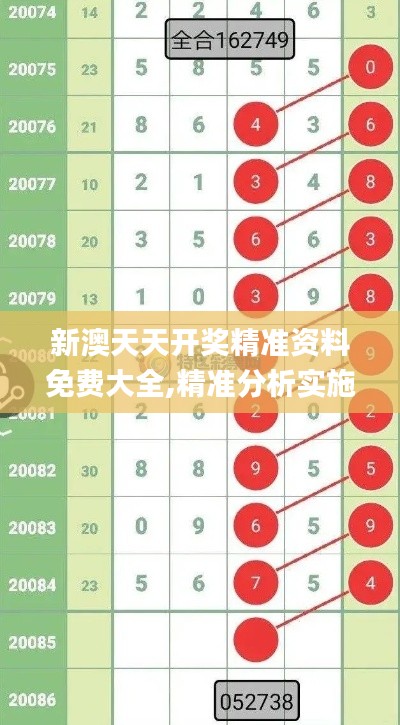 新澳天天开奖精准资料免费大全,精准分析实施步骤_专属款1.989