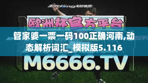 管家婆一票一码100正确河南,动态解析词汇_模拟版5.116