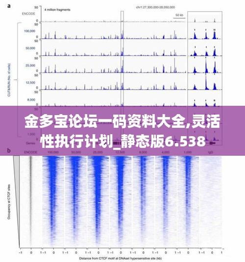 金多宝论坛一码资料大全,灵活性执行计划_静态版6.538