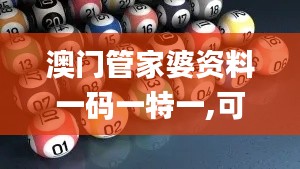 澳门管家婆资料一码一特一,可靠计划策略执行_手游版15.871