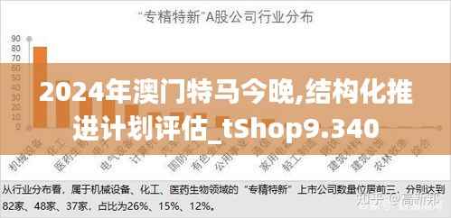 2024年澳门特马今晚,结构化推进计划评估_tShop9.340