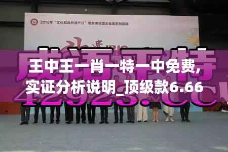 王中王一肖一特一中免费,实证分析说明_顶级款6.660