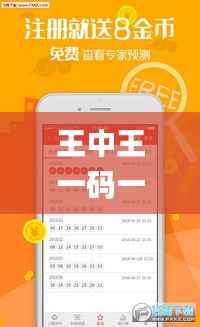 王中王一码一肖一特一中2024年,可持续执行探索_PT10.996