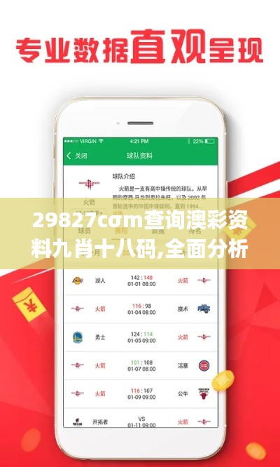 29827cσm查询澳彩资料九肖十八码,全面分析说明_pack14.861
