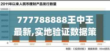777788888王中王最新,实地验证数据策略_模拟版5.829