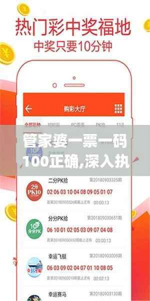 管家婆一票一码100正确,深入执行数据应用_N版9.675