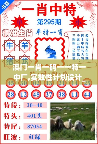 澳门一肖一码一一特一中厂,实效性计划设计_Z4.855