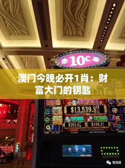 澳门今晚必开1肖:财富大门的钥匙