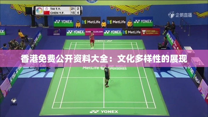 香港免费公开资料大全:文化多样性的展现