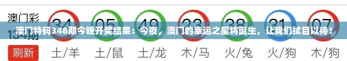 澳门特码348期今晚开奖结果:今夜,澳门的幸运之星将诞生,让我们拭目以待!
