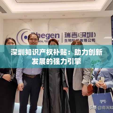 深圳知识产权补贴:助力创新发展的强力引擎