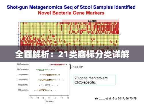 全面解析:21类商标分类详解