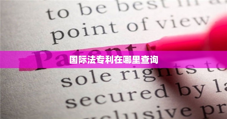国际法专利在哪里查询