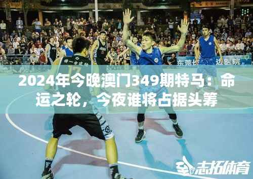 2024年今晚澳门349期特马:命运之轮,今夜谁将占据头筹