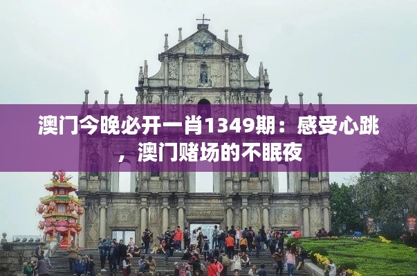 澳门今晚必开一肖1349期:感受心跳,澳门赌场的不眠夜