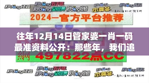 往年12月14日管家婆一肖一码最准资料公开:那些年,我们追求的数字魔力