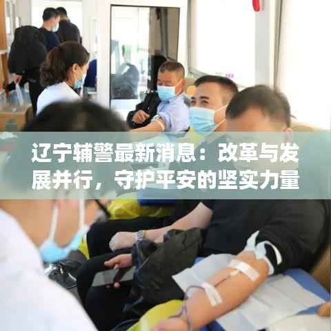辽宁辅警最新消息:改革与发展并行,守护平安的坚实力量