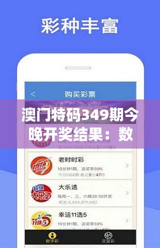 澳门特码349期今晚开奖结果:数字的游戏,财富的转变