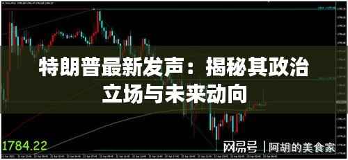 特朗普最新发声:揭秘其政治立场与未来动向
