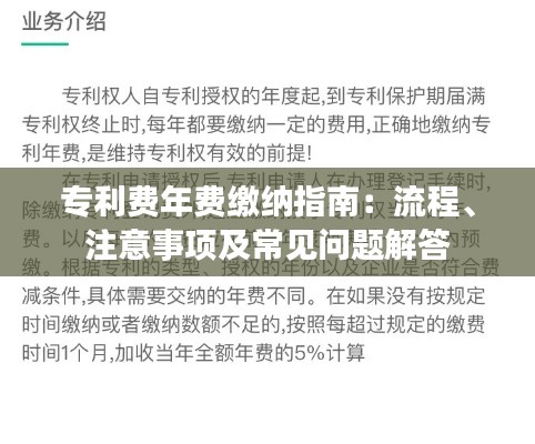 专利费年费缴纳指南:流程、注意事项及常见问题解答