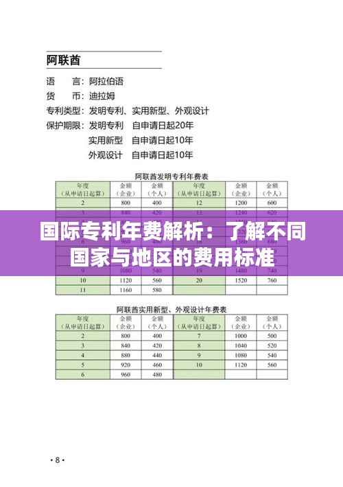 国际专利年费解析:了解不同国家与地区的费用标准