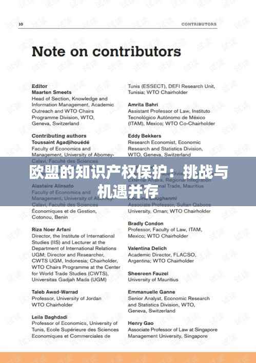 欧盟的知识产权保护:挑战与机遇并存