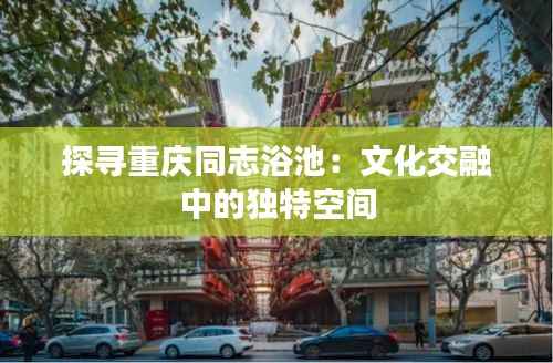 探寻重庆同志浴池:文化交融中的独特空间