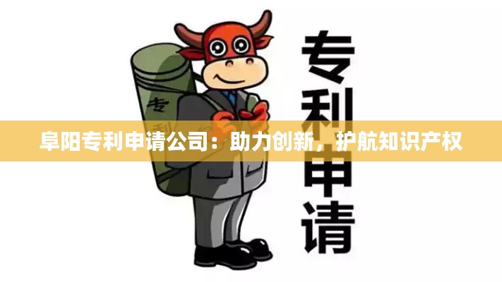 阜阳专利申请公司:助力创新,护航知识产权