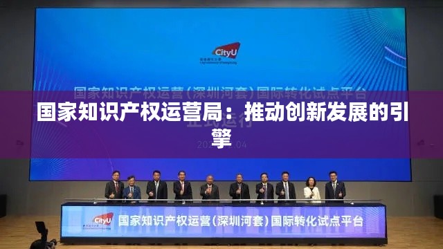 百不得一 第3页