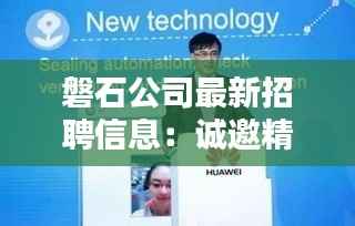 磐石公司最新招聘信息:诚邀精英共筑辉煌未来