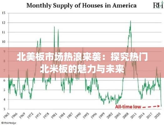 北美板市场热浪来袭:探究热门北米板的魅力与未来