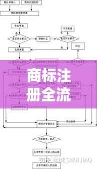 商标注册全流程解析:分阶段详解注册过程