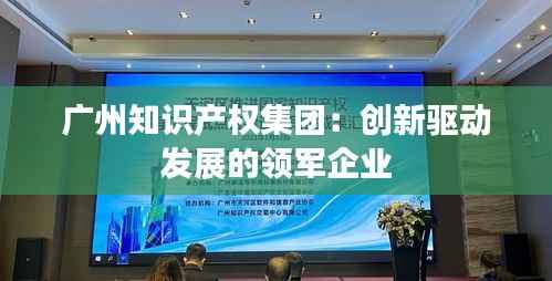 广州知识产权集团:创新驱动发展的领军企业
